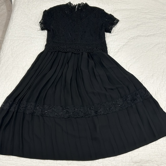 Zara Basics Lace & Pleated Dress - Picture 9 of 14